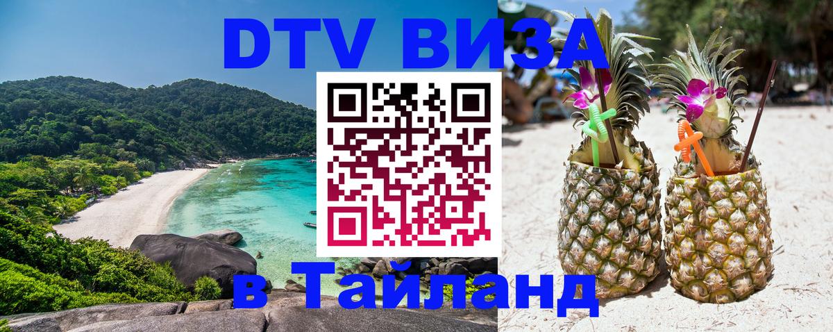 Оформление DTV визы под ключ: стоимость и тарифы, только загранпаспорт - Муром  09.01.2026 